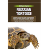 Russian Tortoise: Russian Tortoise Care Guide: Comprehensive Advice On Habitat, Nutrition, Health, Behavior, Interaction, Socialization,