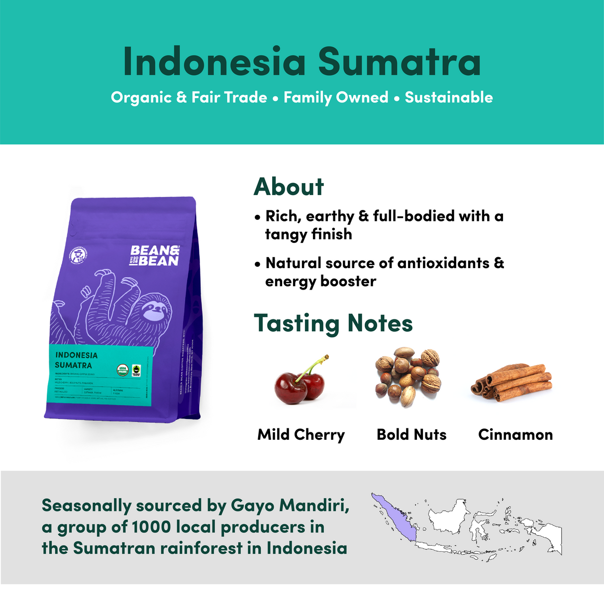 Indonesia Sumatra, Organic & Fair Trade by Bean & Bean Coffee Roasters