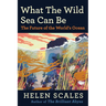 What the Wild Sea Can Be: The Future of the World's Ocean