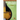 The Mighty Mandolin Chord Songbook