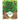 Meet the Trees