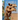 Camels