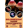 Bioluminescent Marine Invertebrates