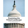 Examining the Fintech Landscape