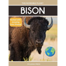 Bison: Fascinating Animal Facts for Kids