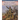 Marquis de Lafayette: Fighting for America's Freedom