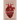 Anatomy: A Love Story