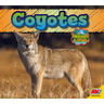 Coyote
