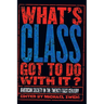 What's Class Got to Do with It?: American Society in the Twenty-First Century