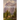 The Yosemite