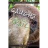 Caught on the Trail: Nature's Wildlife Selfies