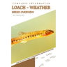 Loach - Weather: From Novice to Expert. Comprehensive Aquarium Fish Guide