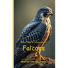It's Time to Learn about Falcons