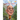Who Is the Dalai Lama?