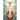 HEAVENLY ARMS BUT AN EMPTY NEST A Journey of Faith, Loss, and Hope