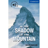 In the Shadow of the Mountain Level 5