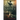 Chasing Justice
