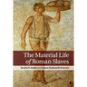 The Material Life of Roman Slaves