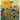 The Heart's Garden: based on a poem by RUMI