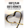 God's Plan and God's Hornets: A Journey That Transformed My Faith on the Path to a Threefold Cord
