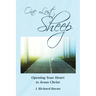 One Lost Sheep: Opening Your Heart to Jesus Christ