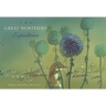 The Great Northern Expedition