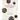 All the Genealogies of the Bible: Visual Charts and Exegetical Commentary
