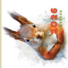 Calendar 2026: Cute Animals near us!