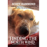 Finding the North Wind