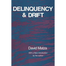 Delinquency and Drift