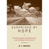 Surprised by Hope Bible Study Participant's Guide: Rethinking Heaven, the Resurrection, and the Mission of the Church