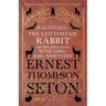 Raggylug, The Cottontail Rabbit and Other Animal Stories with Lobo, Rag, and Vixen
