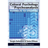 Cultural Psychology and Psychoanalysis: Pathways to Synthesis (Hc)