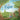 The Eagle: Illustrated picture book