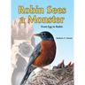 Robin Sees a Monster: From Egg to Robin