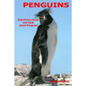 Penguins: Kids Picture Book and Facts about Penguins