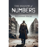 The Shadow of Numbers