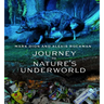 Mark Dion and Alexis Rockman: Journey to Nature's Underworld