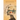 A century Between Us-A Hidden Journal. A Freedom Struggle. A new-found Love and Purpose.