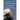 Something Is Killing the Children Vol. 8