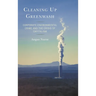 Cleaning Up Greenwash: Corporate Environmental Crime and the Crisis of Capitalism