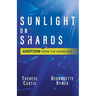 Sunlight on Shards: Adoption From the Inside Out