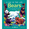 Bears (a Day in the Life): What Do Polar Bears, Giant Pandas, and Grizzly Bears Get Up to All Day?