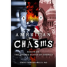 American Chasms: Essays on The Divided States of America