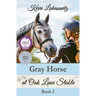 Gray Horse at Oak Lane Stable