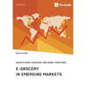 E-Grocery in Emerging Markets. Major Players, Strategies, and Market Structures