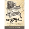 Struggle for the Union: Connecting the Causes and Conflicts of the American Civil War