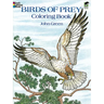 Birds of Prey Coloring Book