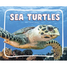 Sea Turtles