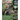 Naturally Curious Day by Day: A Photographic Field Guide and Daily Visit to the Forests, Fields, and Wetlands of Eastern North America